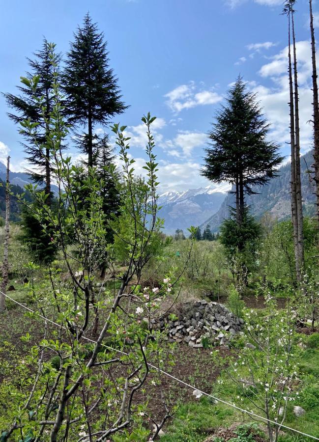 Getaway Stays Manali Luaran gambar